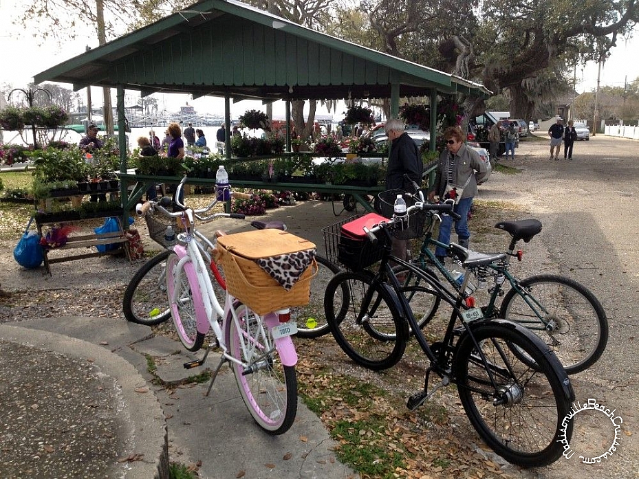 Ride through Madisonville - March 9, 2013