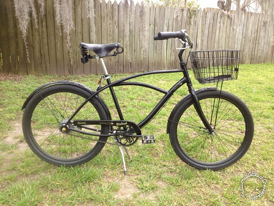 2009 Raleigh Special - Bruiser 8i