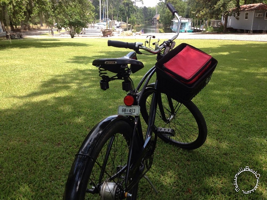 2009 Raleigh Special - Bruiser 8i