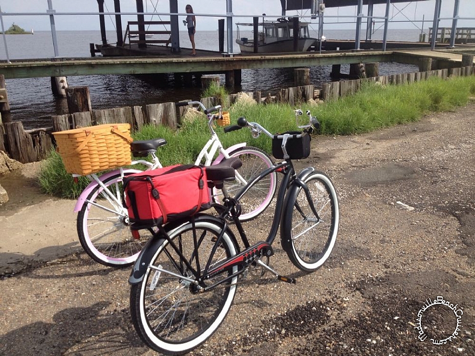 More Bicycles, Beach Cruisers, Sting-Rays, and Vintage Bikes