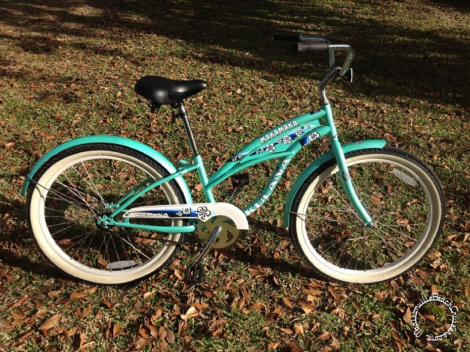 More Bicycles, Beach Cruisers, Sting-Rays, and Vintage Bikes